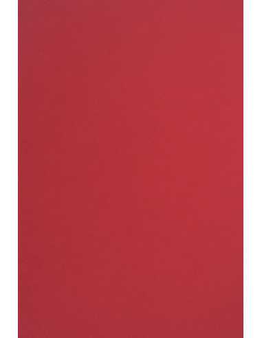 Dekorační barevný ekologický papír Circolor 160g Tulipán vínový pak. 25A4
