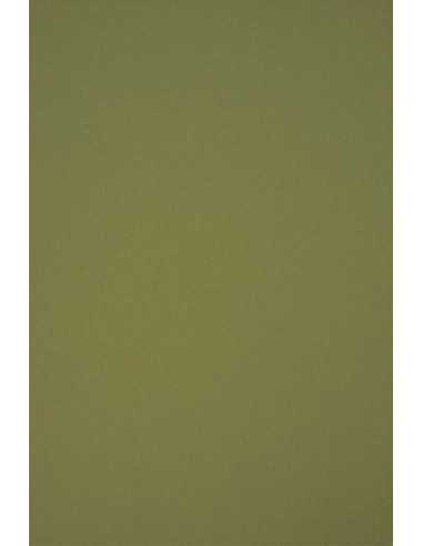 Dekorační barevný ekologický papír Circolor 160g Rozmarýnov? zelené pak. 25A4