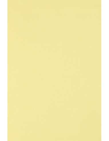 Dekorační barevný ekologický papír Circolor 160g Camomile světle žlutý pak. 25A4