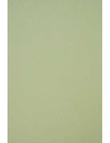 Dekorační barevný ekologický papír Crush 250g Kiwi jasn? zelené pak. 50A4
