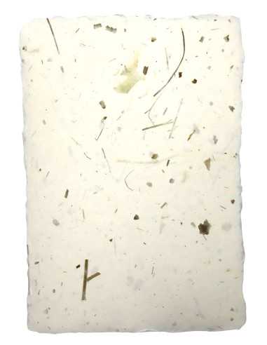Ruční dekorativní květinový papír - cibule s trávou 5A4