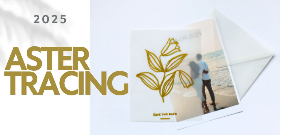 Nová kolekce - Aster Tracing